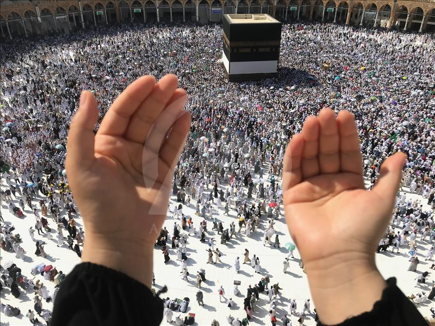 Pak Canada Travels - Hajj & Umrah Services - Gallery 3